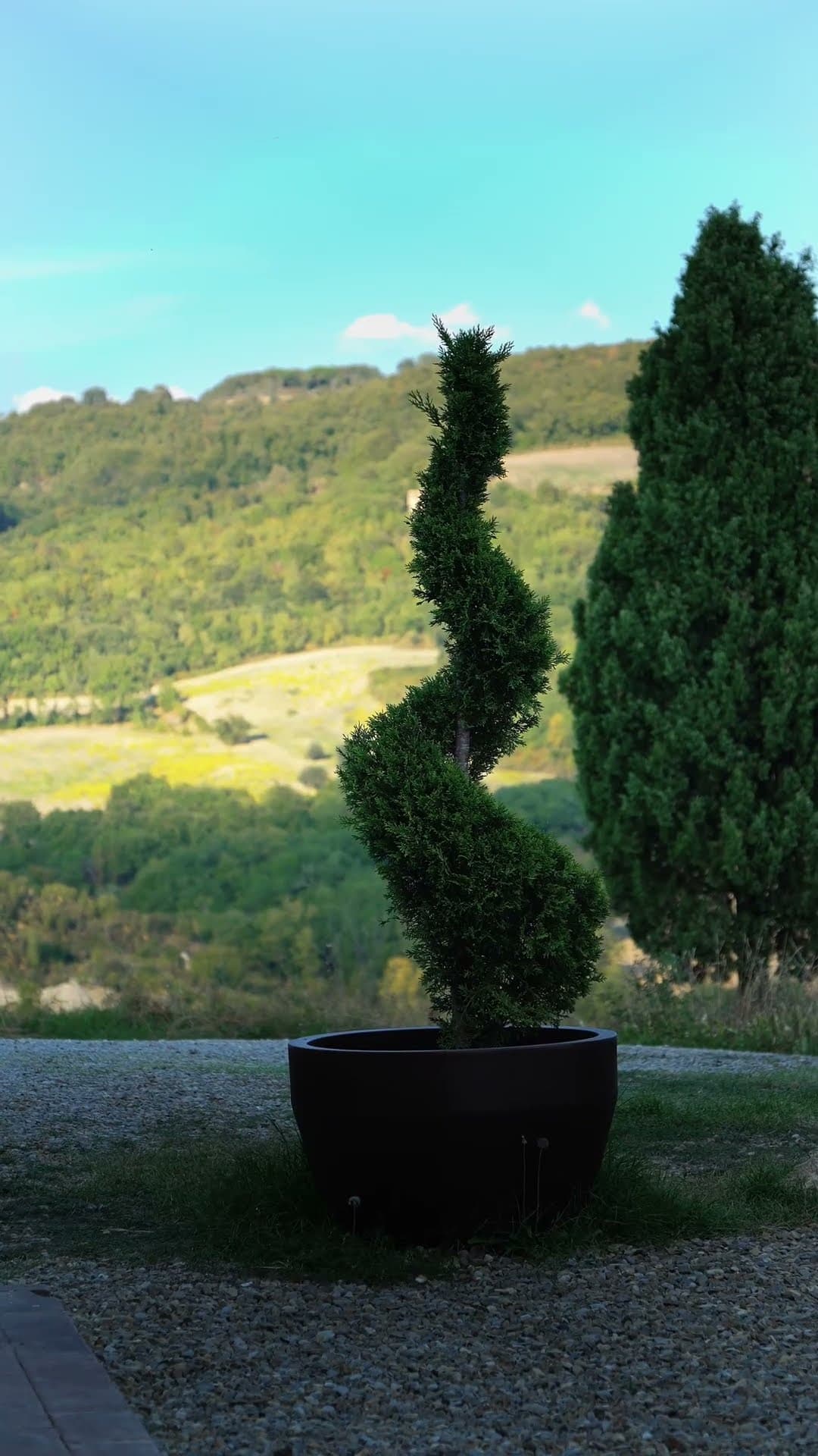 The same hill