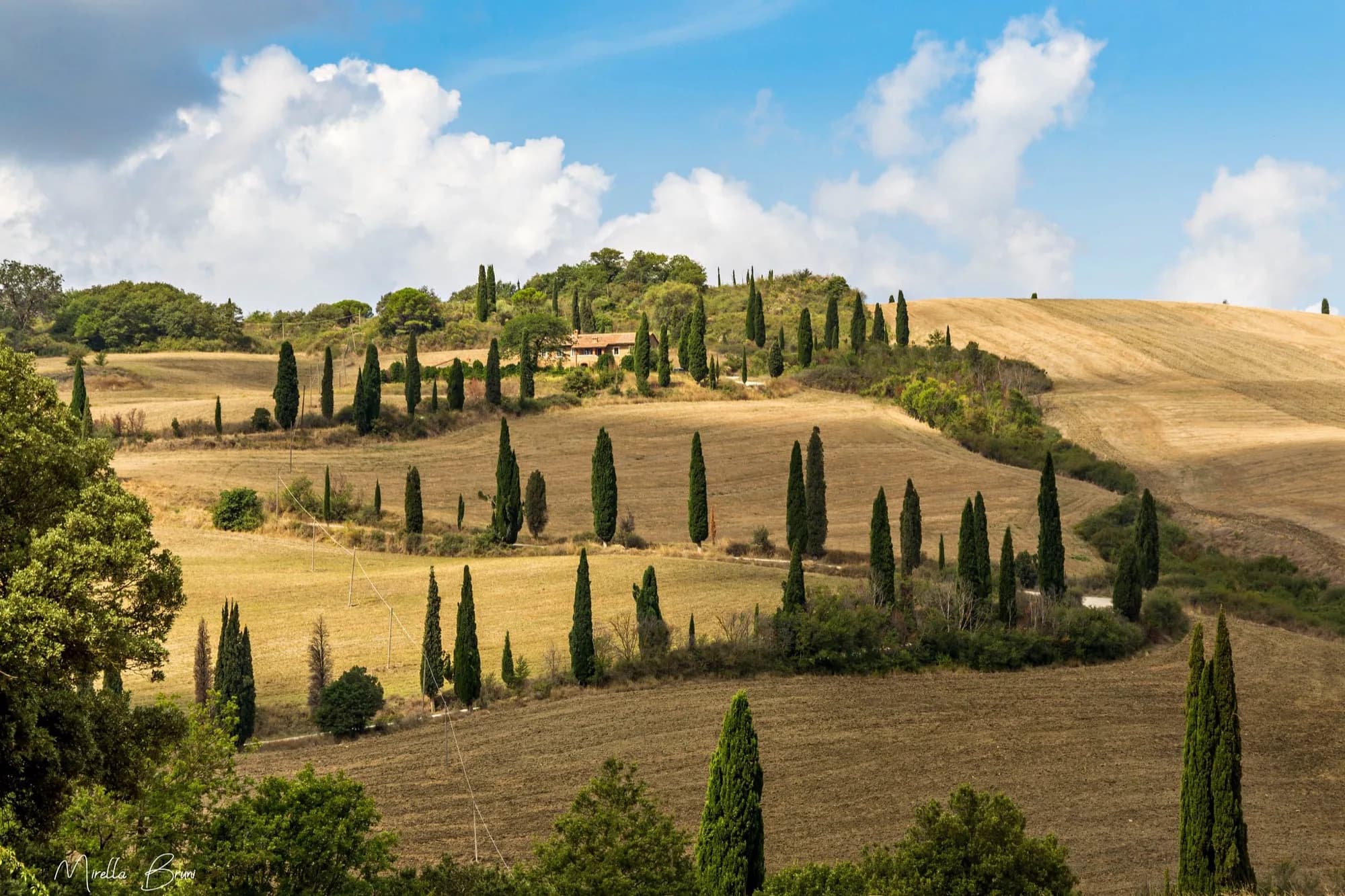 I dintorni della tenuta